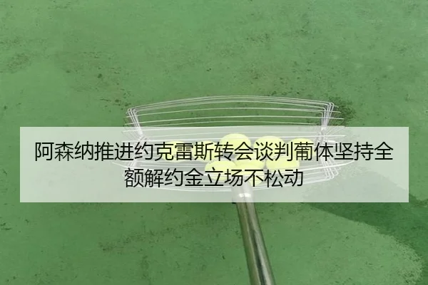 阿森纳推进约克雷斯转会谈判葡体坚持全额解约金立场不松动